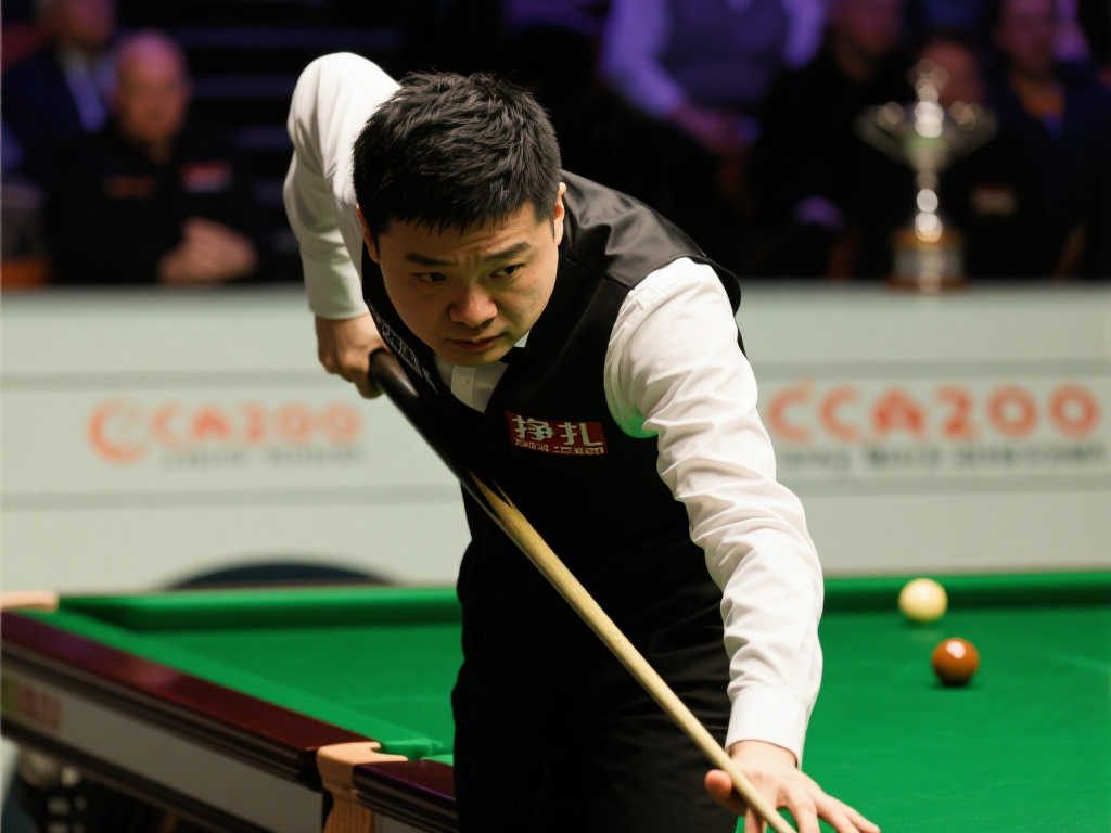 赛区的比赛 赛区的比赛